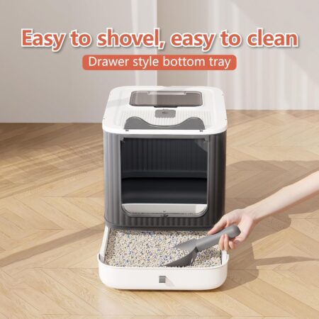 Medium Covered Litter Box for Kittens
